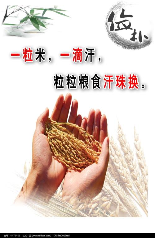 定制苏丹驾驶证